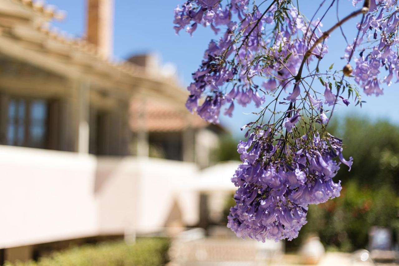 Stoúpa Tria Luxury Residences מראה חיצוני תמונה
